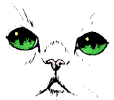 кот